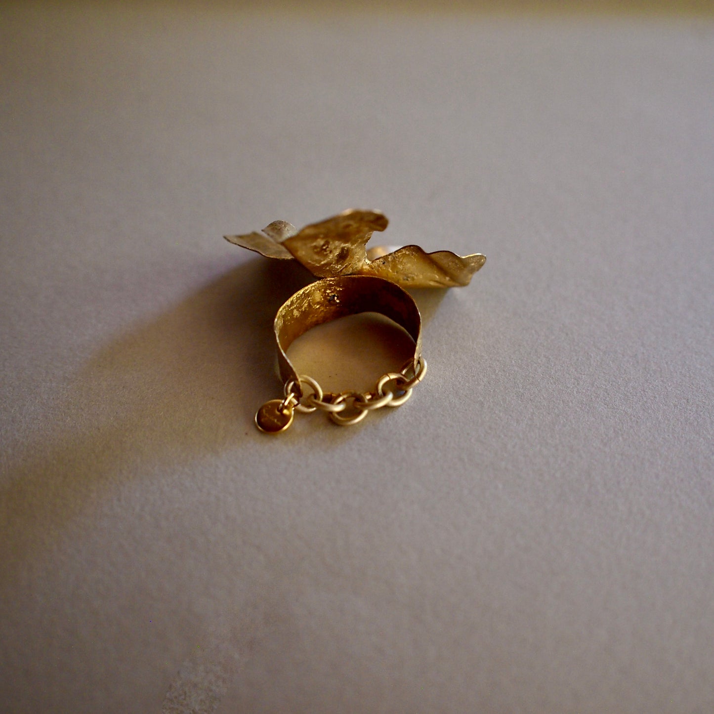 【FUSION】_ GARDEN / Ring