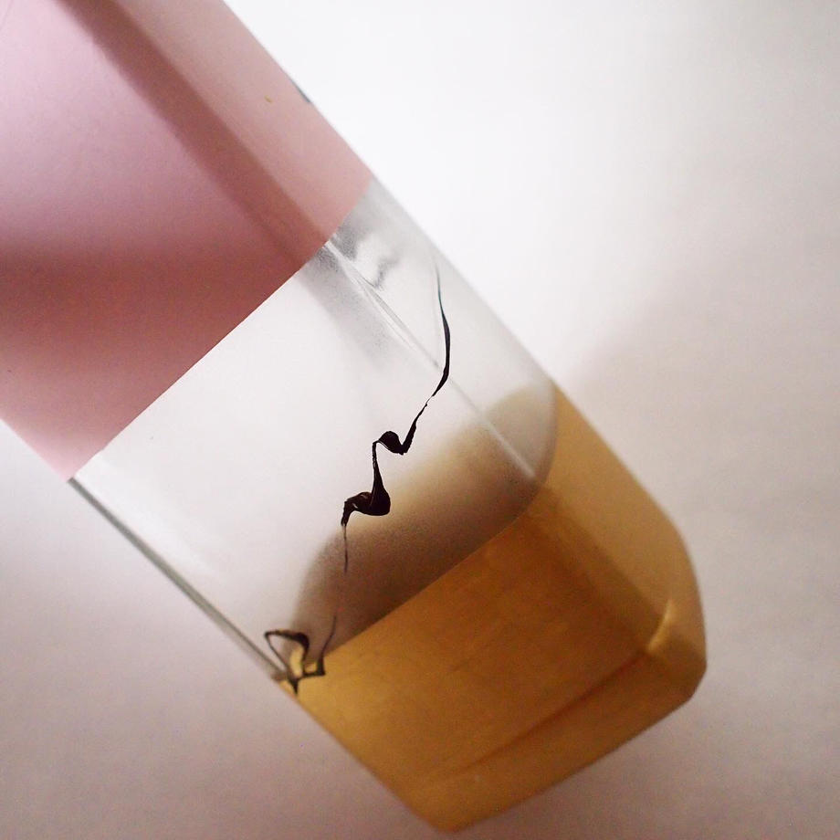 en BOTTLE【縁】 J